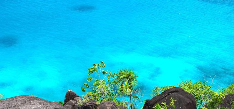 Les bonnes raisons de passer vos prochaines vacances aux Seychelles